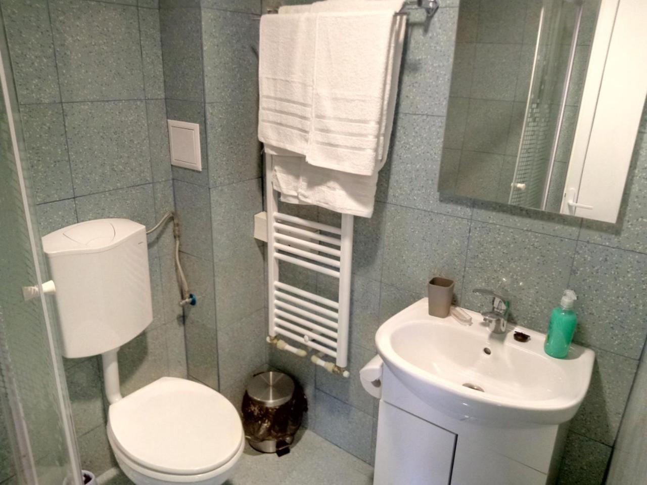 Camere De Inchiriat Carpati ฮูเนโดอารา ภายนอก รูปภาพ